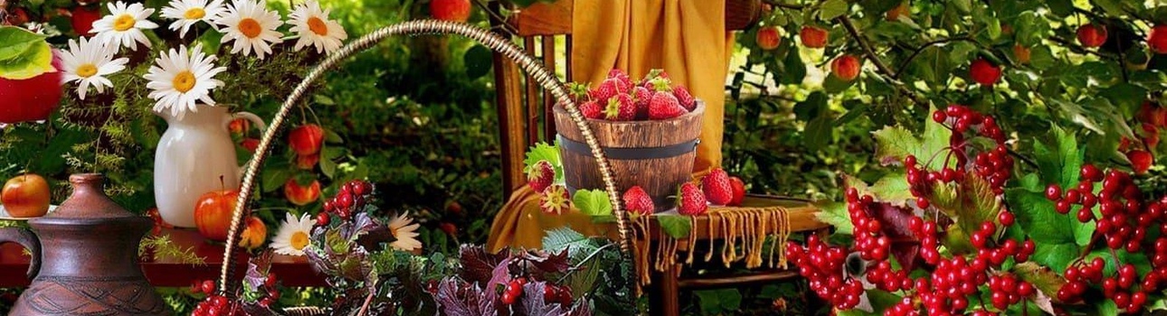 ПИТОМНИК ЗДОРОВЫХ И КРЕПКИХ РАСТЕНИЙ